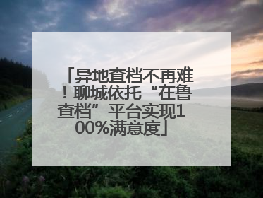 异地查档不再难！聊城依托“在鲁查档”平台实现100%满意度