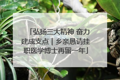 弘扬三大精神 奋力建成支点｜乡亲恳请挂职医学博士再留一年