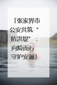 张家界市公安共筑“防洪堤”：向险而行 守护安澜