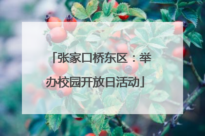 张家口桥东区：举办校园开放日活动