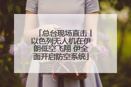总台现场直击丨以色列无人机在伊朗低空飞翔 伊全面开启防空系统