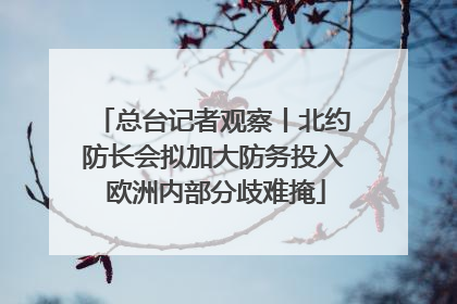 总台记者观察丨北约防长会拟加大防务投入 欧洲内部分歧难掩