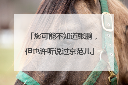 您可能不知道张鹏，但也许听说过京范儿