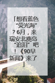 想看蓝色“荧光海”？6月，来瑞安北麂岛“追泪”吧！《90早新闻》来了