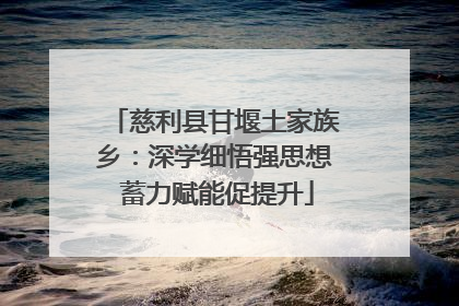 慈利县甘堰土家族乡：深学细悟强思想 蓄力赋能促提升