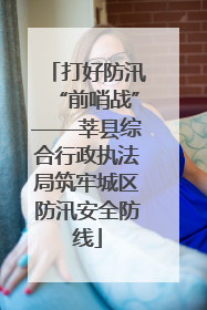 打好防汛“前哨战”——莘县综合行政执法局筑牢城区防汛安全防线