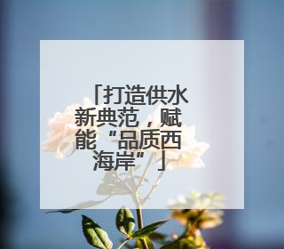 打造供水新典范，赋能“品质西海岸”