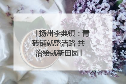 扬州李典镇：青砖铺就整洁路 共治绘就新田园
