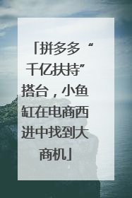 拼多多“千亿扶持”搭台，小鱼缸在电商西进中找到大商机