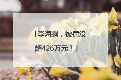 李海鹏，被罚没超426万元！