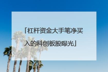 杠杆资金大手笔净买入的科创板股曝光