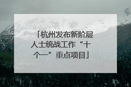 杭州发布新阶层人士统战工作“十个一”重点项目