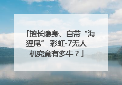 擅长隐身、自带“海狸尾” 彩虹-7无人机究竟有多牛？