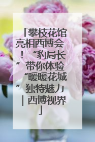 攀枝花馆亮相西博会！“豹局长”带你体验“暖暖花城”独特魅力｜西博视界