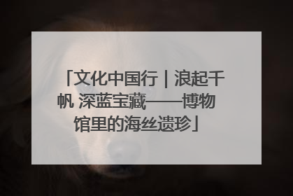 文化中国行｜浪起千帆 深蓝宝藏——博物馆里的海丝遗珍