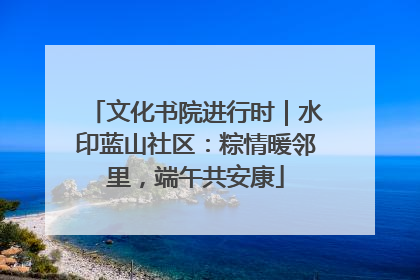 文化书院进行时｜水印蓝山社区：粽情暖邻里，端午共安康