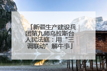 新疆生产建设兵团第九师乌拉斯台人民法庭：用“三调联动”解牛事