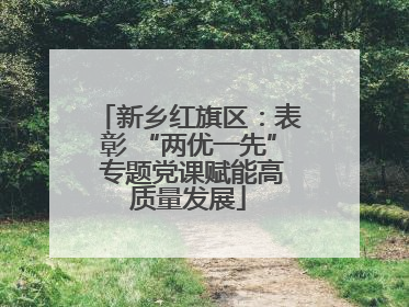 新乡红旗区：表彰 “两优一先” 专题党课赋能高质量发展