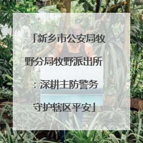 新乡市公安局牧野分局牧野派出所：深耕主防警务 守护辖区平安