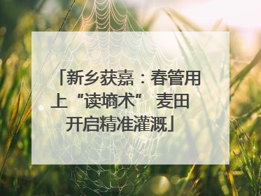 新乡获嘉：春管用上“读墒术” 麦田开启精准灌溉
