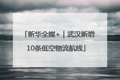 新华全媒+｜武汉新增10条低空物流航线