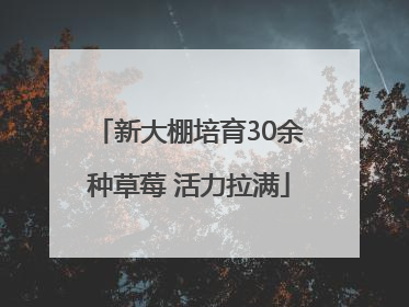 新大棚培育30余种草莓 活力拉满