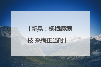 新晃：杨梅缀满枝 采梅正当时