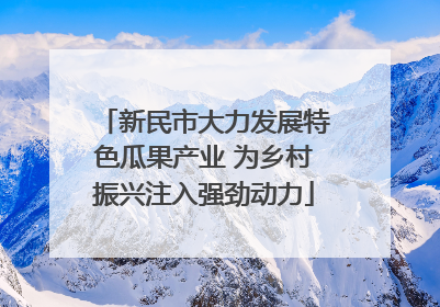 新民市大力发展特色瓜果产业 为乡村振兴注入强劲动力