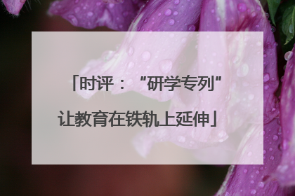 时评：“研学专列”让教育在铁轨上延伸