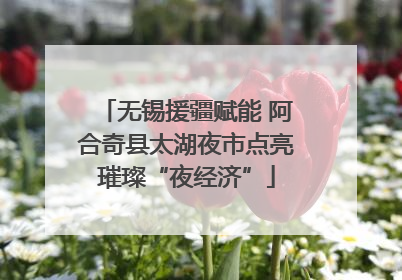无锡援疆赋能 阿合奇县太湖夜市点亮璀璨“夜经济”