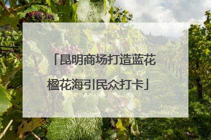 昆明商场打造蓝花楹花海引民众打卡