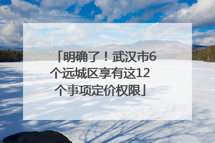 明确了！武汉市6个远城区享有这12个事项定价权限