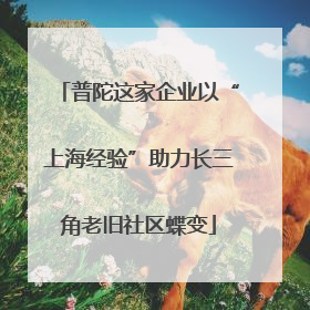 普陀这家企业以“上海经验”助力长三角老旧社区蝶变