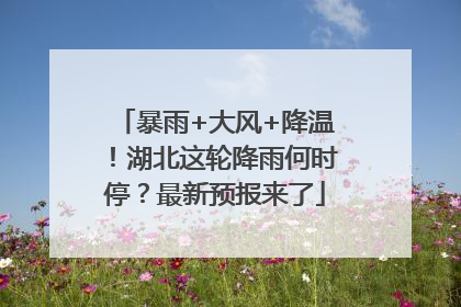 暴雨+大风+降温！湖北这轮降雨何时停？最新预报来了