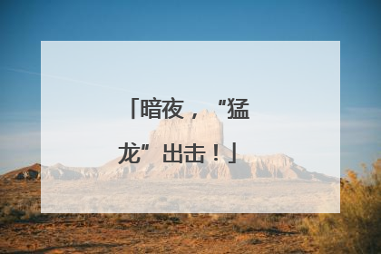 暗夜，“猛龙”出击！