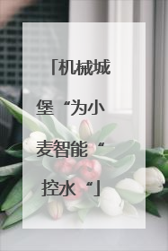 机械城堡“为小麦智能“控水“