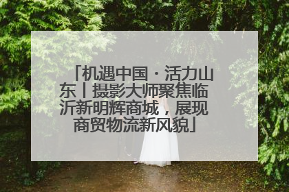 机遇中国・活力山东丨摄影大师聚焦临沂新明辉商城，展现商贸物流新风貌