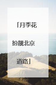 月季花扮靓北京道路