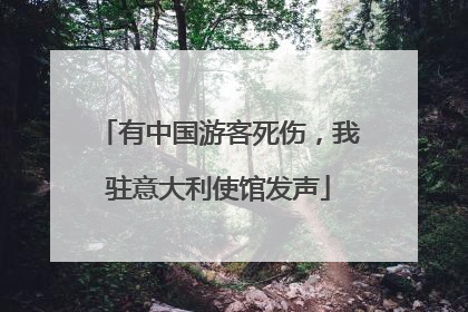 有中国游客死伤，我驻意大利使馆发声