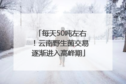 每天50吨左右！云南野生菌交易逐渐进入高峰期