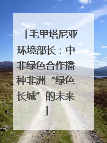 毛里塔尼亚环境部长：中非绿色合作播种非洲“绿色长城”的未来