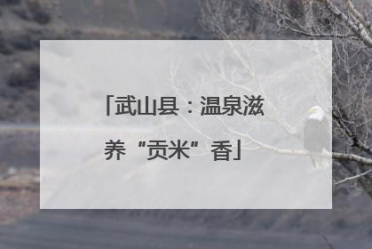 武山县：温泉滋养“贡米”香