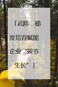 武陟：梯度培育赋能企业“拔节生长”
