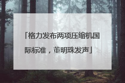 格力发布两项压缩机国际标准，董明珠发声