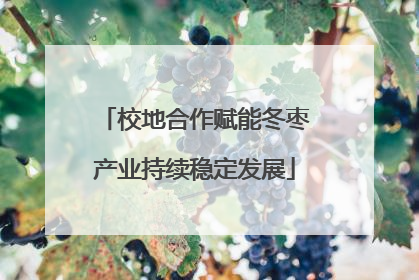 校地合作赋能冬枣产业持续稳定发展