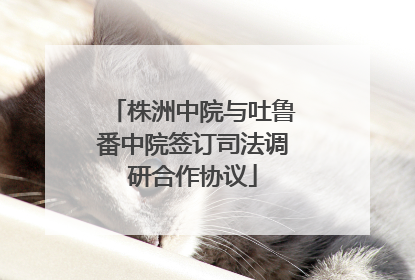 株洲中院与吐鲁番中院签订司法调研合作协议