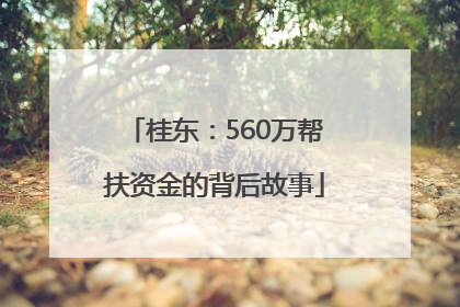 桂东：560万帮扶资金的背后故事