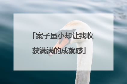 案子虽小却让我收获满满的成就感