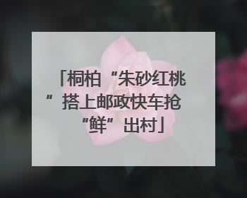 桐柏“朱砂红桃”搭上邮政快车抢“鲜”出村