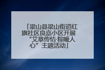梁山县梁山街道红旗社区良嘉小区开展“艾草传情·粽暖人心”主题活动